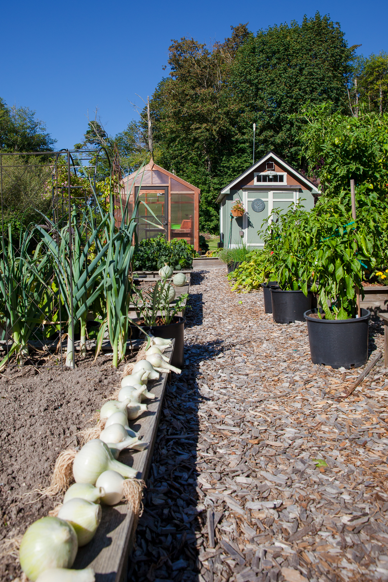 sustainable-vegetable-garden_32